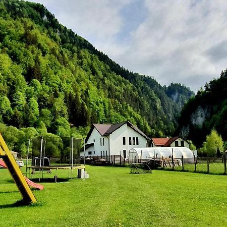 Casa Petruta Dambovicioara Hotel Podu Dimbovitei Екстериор снимка
