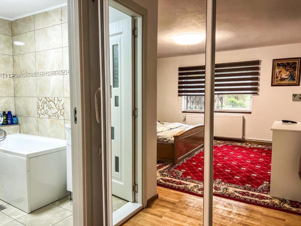 Casa Petruta Dambovicioara Hotel Podu Dimbovitei Екстериор снимка