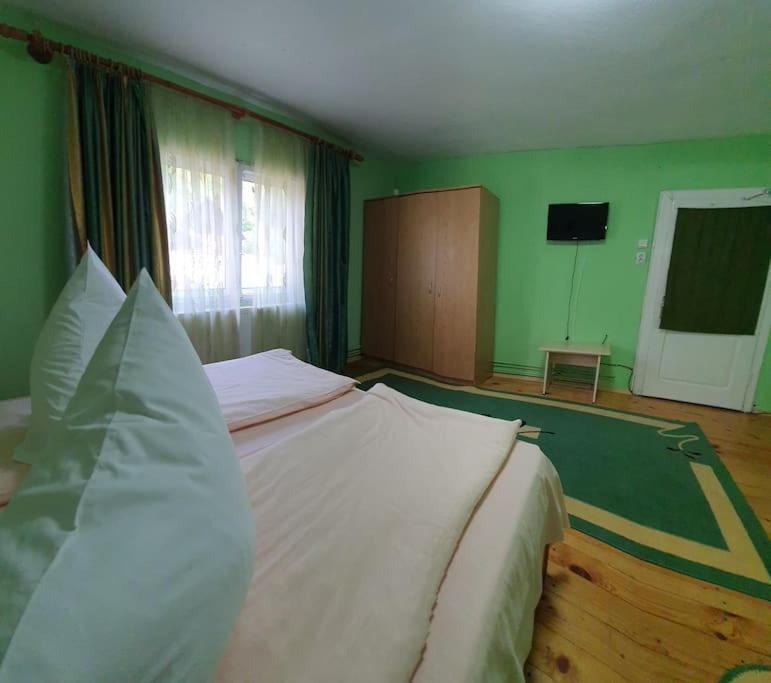 Casa Petruta Dambovicioara Hotel Podu Dimbovitei Екстериор снимка