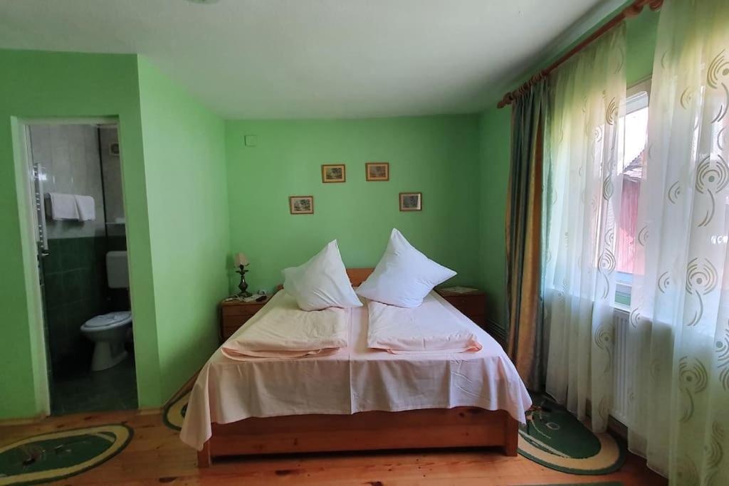 Casa Petruta Dambovicioara Hotel Podu Dimbovitei Екстериор снимка