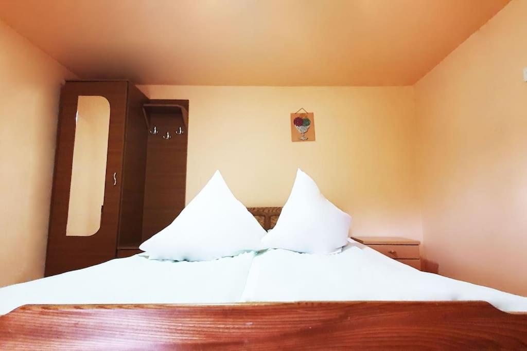 Casa Petruta Dambovicioara Hotel Podu Dimbovitei Екстериор снимка
