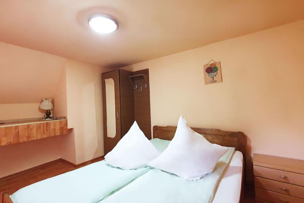 Casa Petruta Dambovicioara Hotel Podu Dimbovitei Екстериор снимка