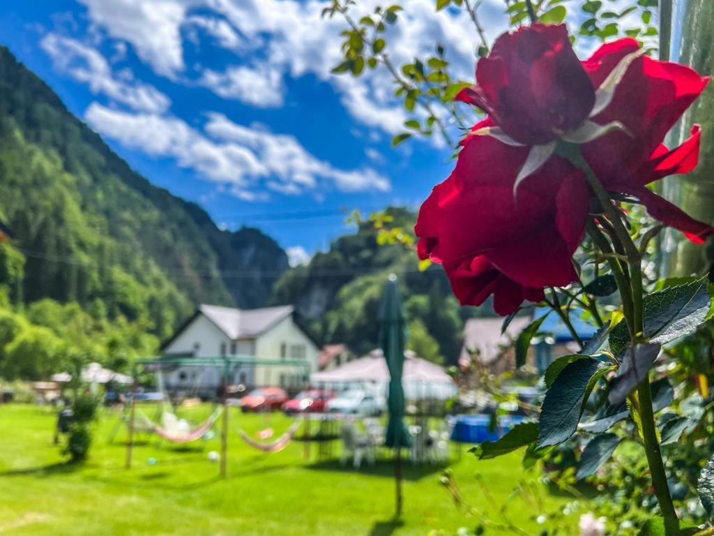 Casa Petruta Dambovicioara Hotel Podu Dimbovitei Екстериор снимка