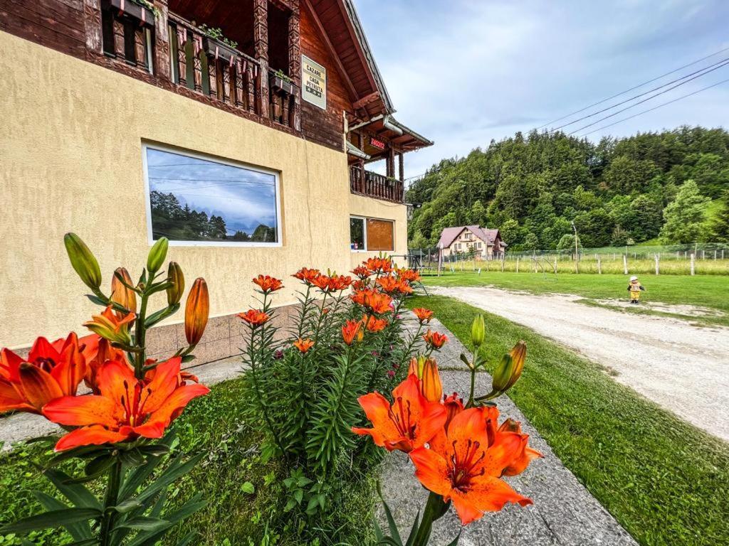 Casa Petruta Dambovicioara Hotel Podu Dimbovitei Екстериор снимка
