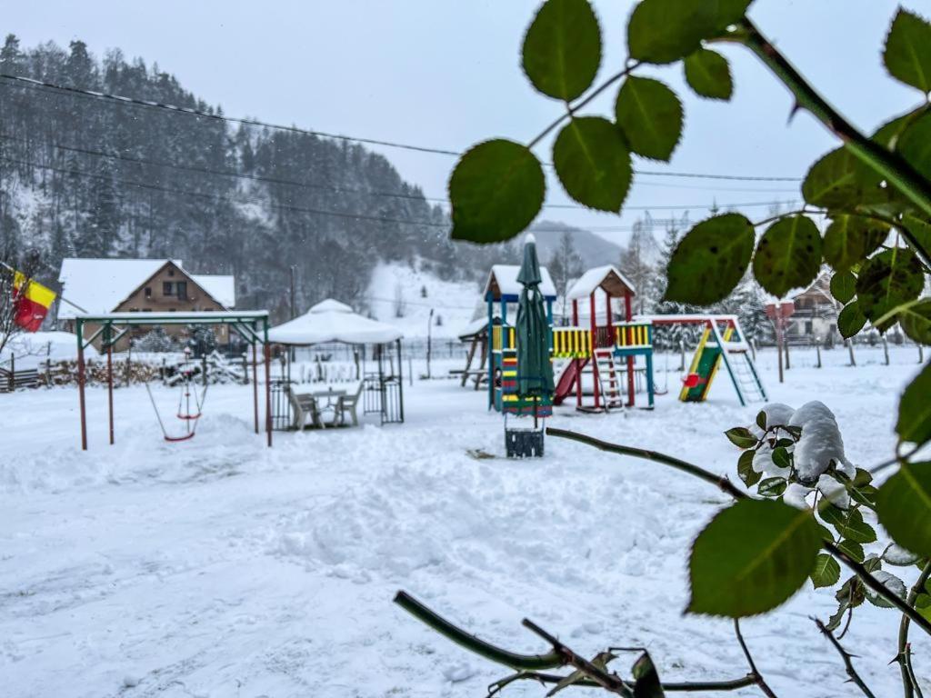 Casa Petruta Dambovicioara Hotel Podu Dimbovitei Екстериор снимка