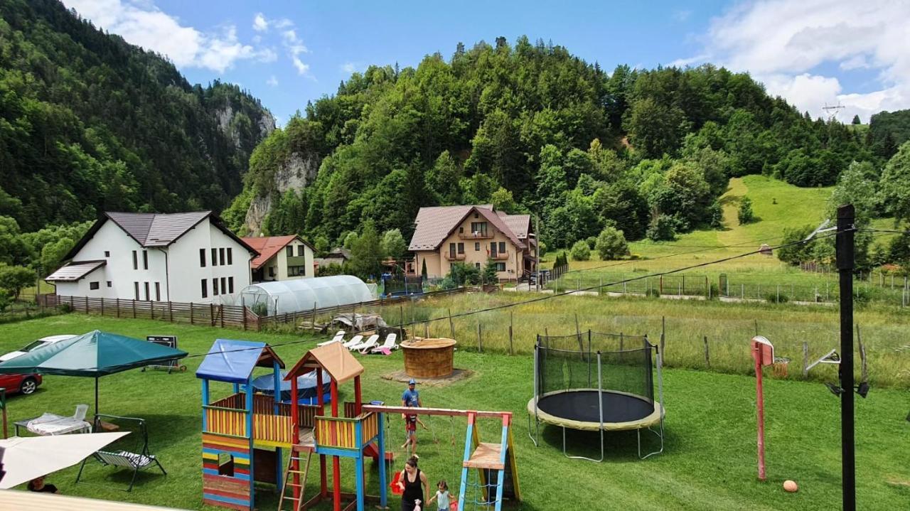 Casa Petruta Dambovicioara Hotel Podu Dimbovitei Екстериор снимка