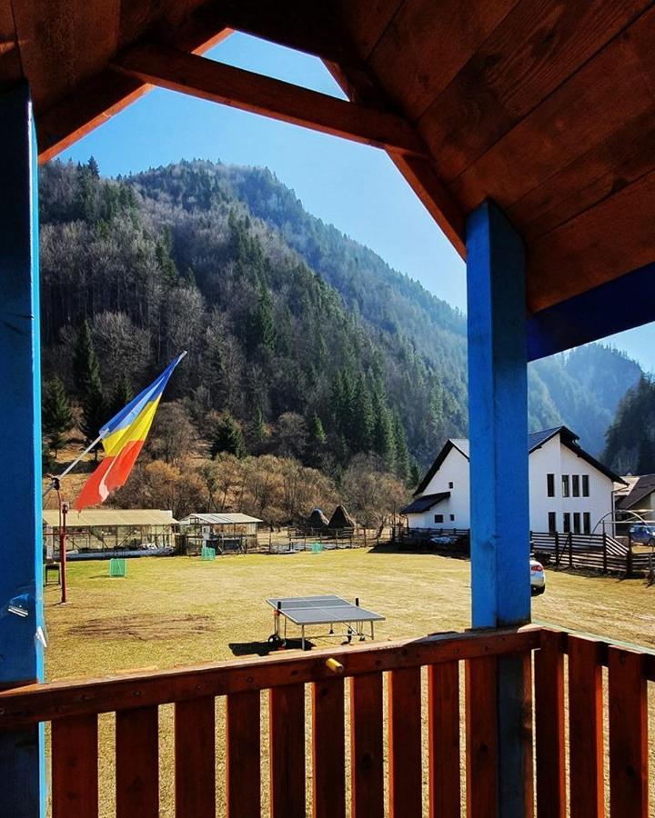 Casa Petruta Dambovicioara Hotel Podu Dimbovitei Екстериор снимка