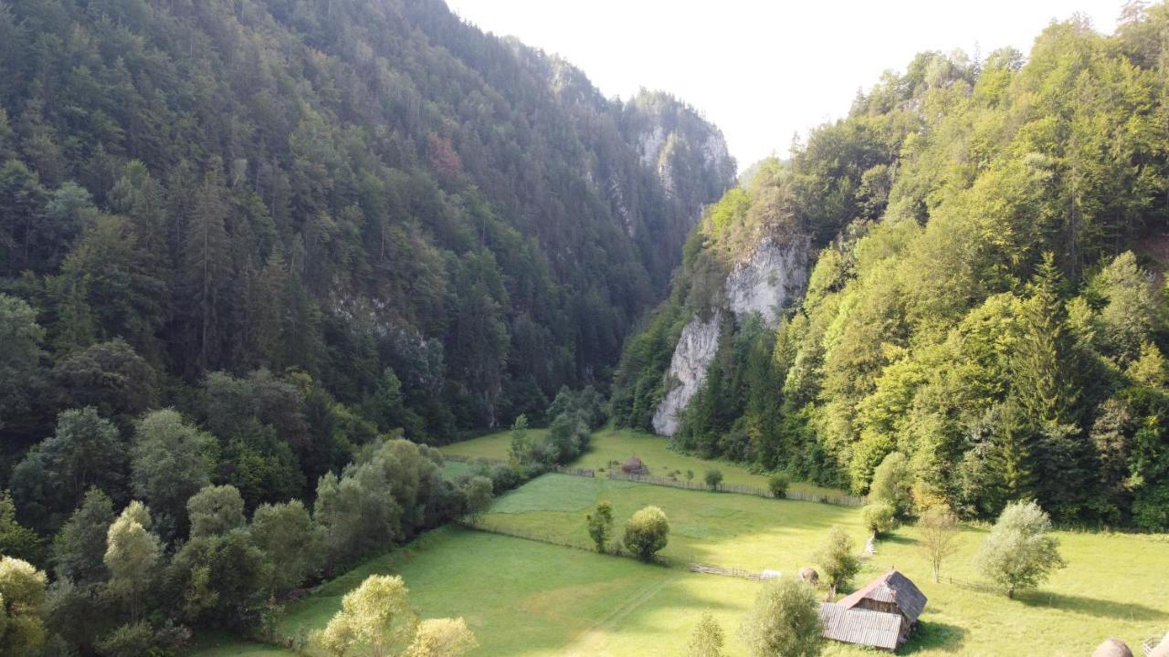 Casa Petruta Dambovicioara Hotel Podu Dimbovitei Екстериор снимка