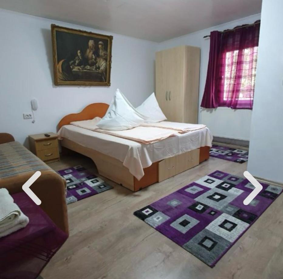 Casa Petruta Dambovicioara Hotel Podu Dimbovitei Екстериор снимка